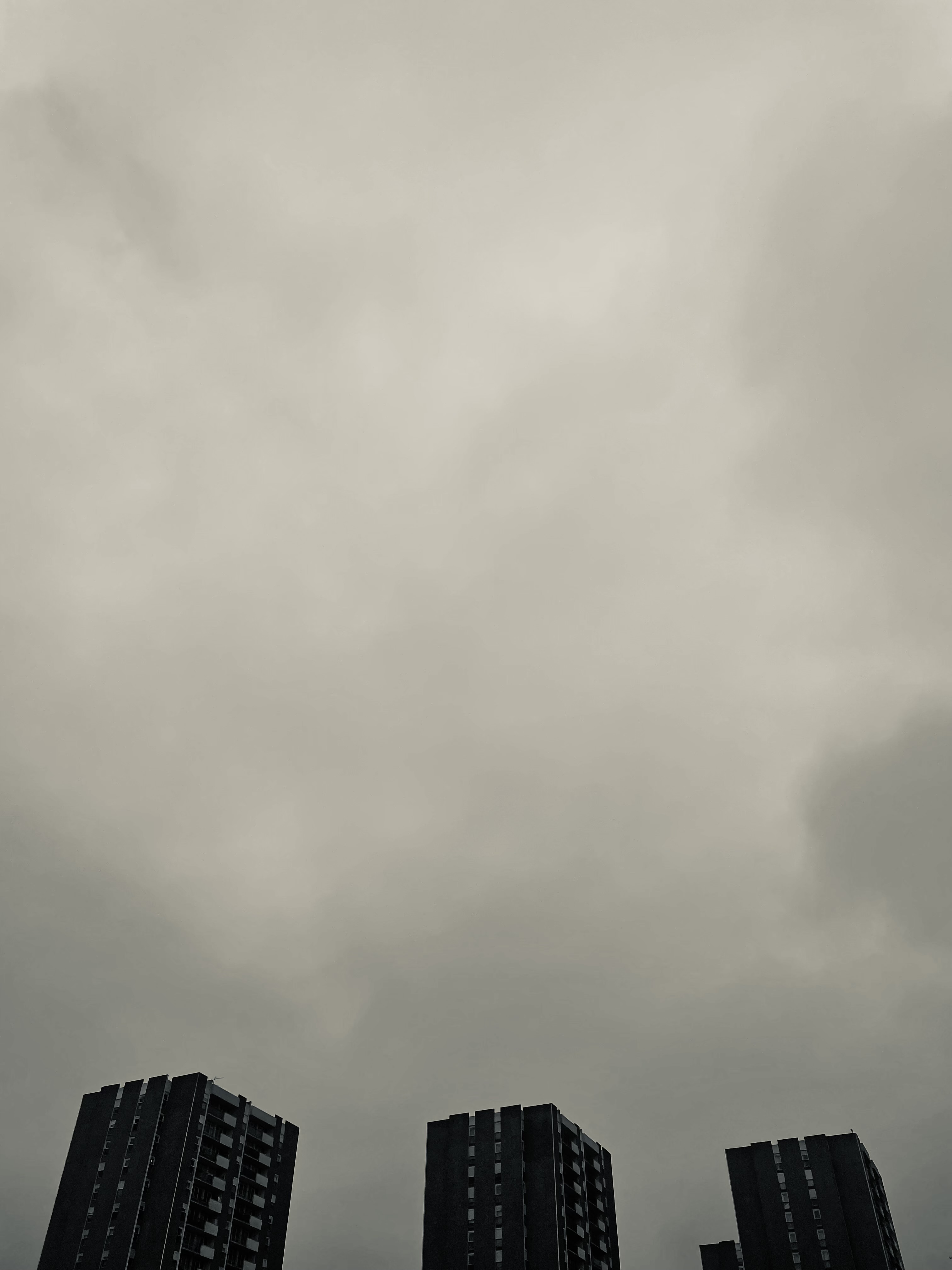 Elles s'élèvent ou s'écrasent