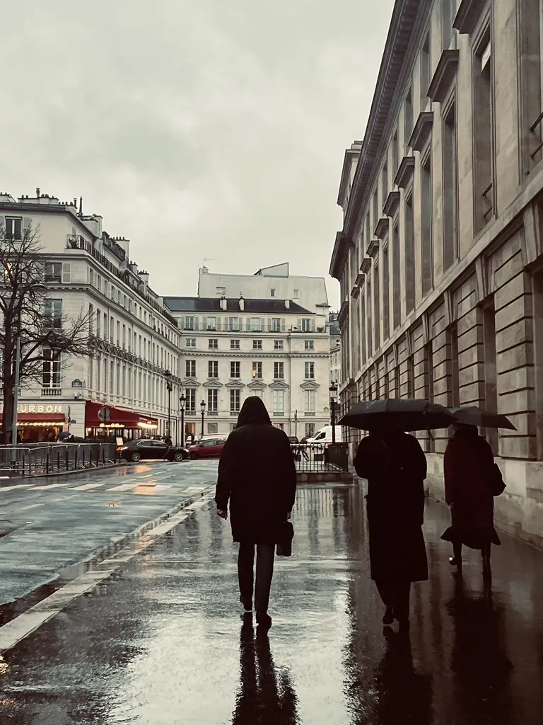 Assemblée nationale, pluie